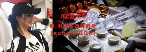 apvp Алзамай