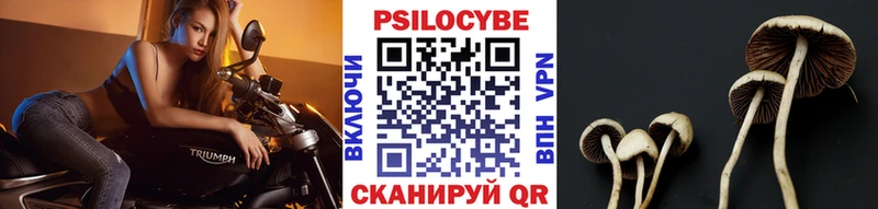 blacksprut ONION Серов Псилоцибиновые грибы Magic Shrooms магазин