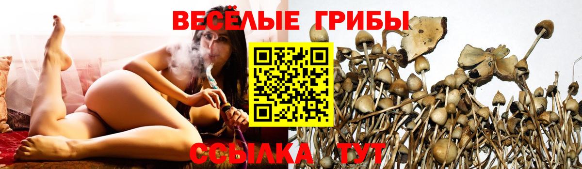 где можно купить наркотик  Галлюциногенные грибы ЛСД  Вход с VPN  Серов 